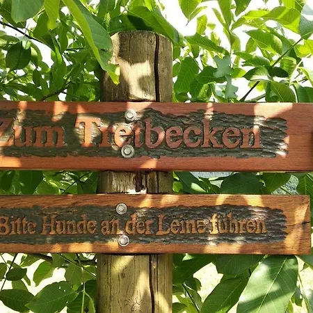 Bergzeit In Langewiese - Landelijke Star 아파트