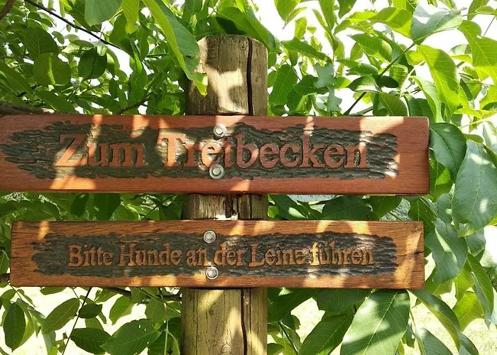 Bergzeit In Langewiese - Landelijke Star Apartment